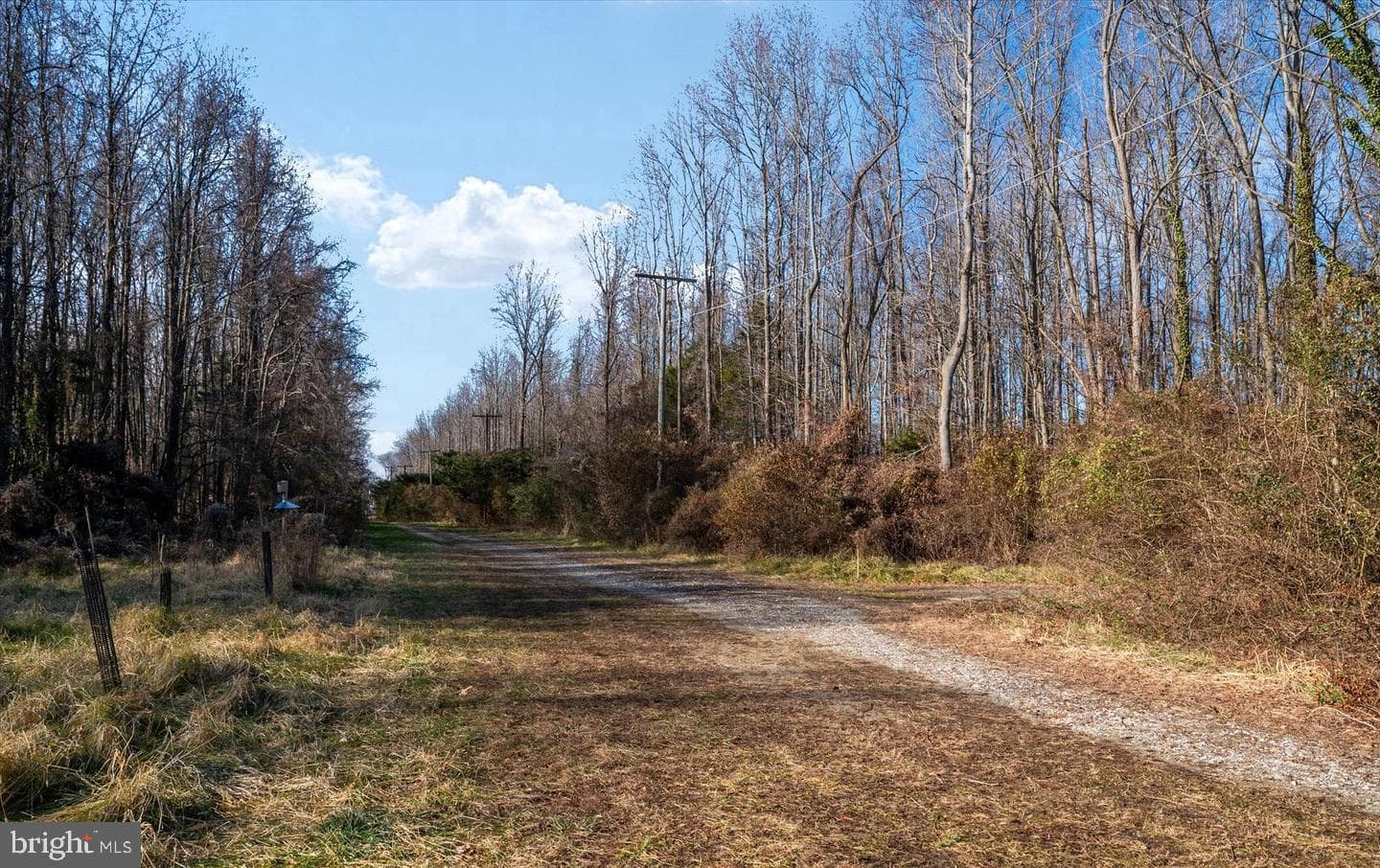 112 Elliott Place photo 44