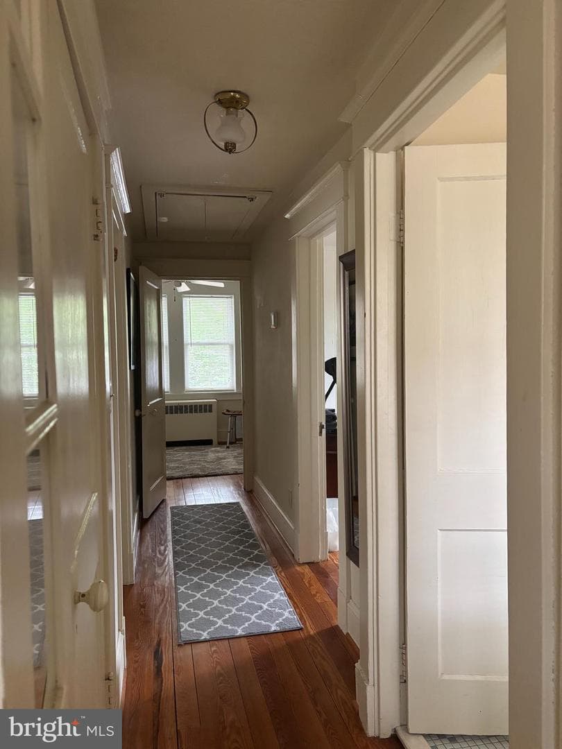 3 Barry Avenue photo 4