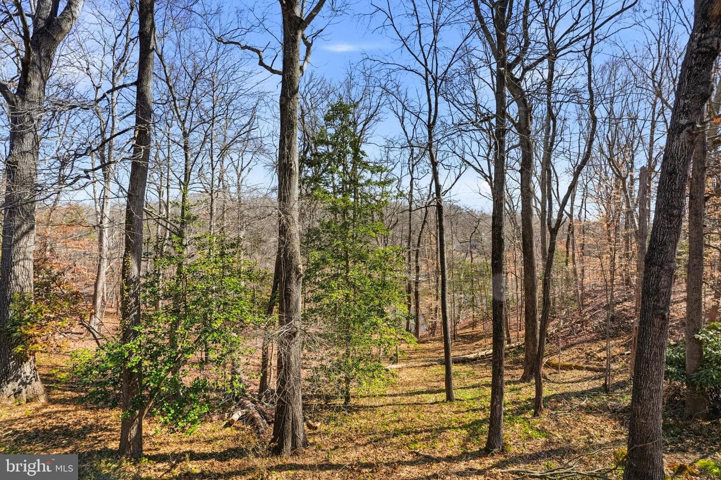 2702 Gingerview Lane photo 25