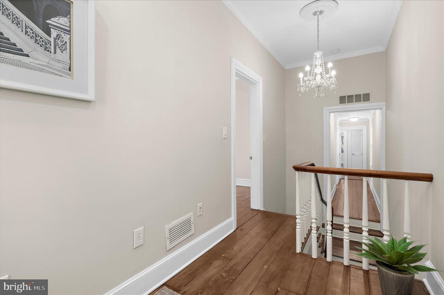 163 Prince George Street photo 31