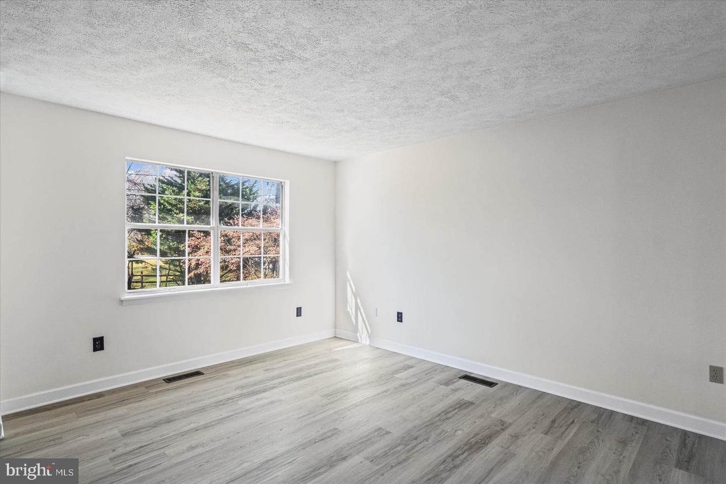 237 Poplar Avenue photo 20