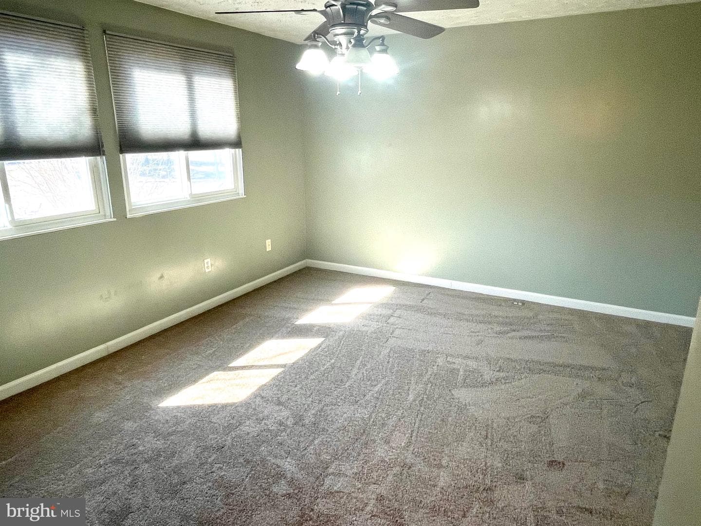 8194 Mountain Estate Court photo 20