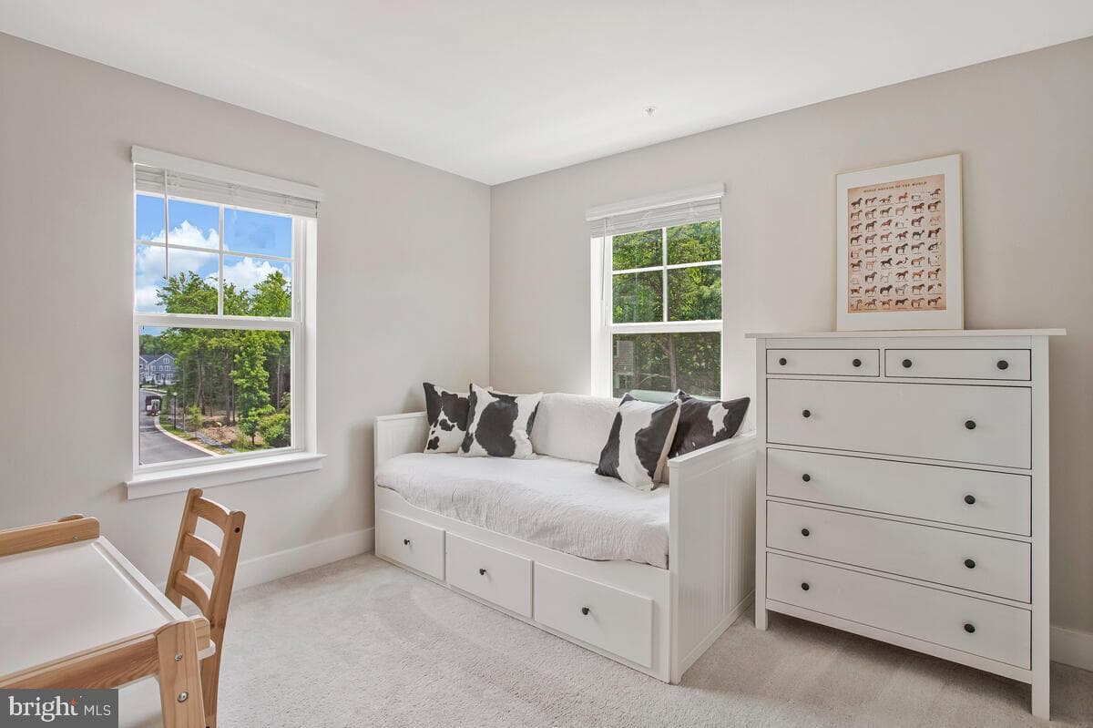 113 Treblis Way photo 28