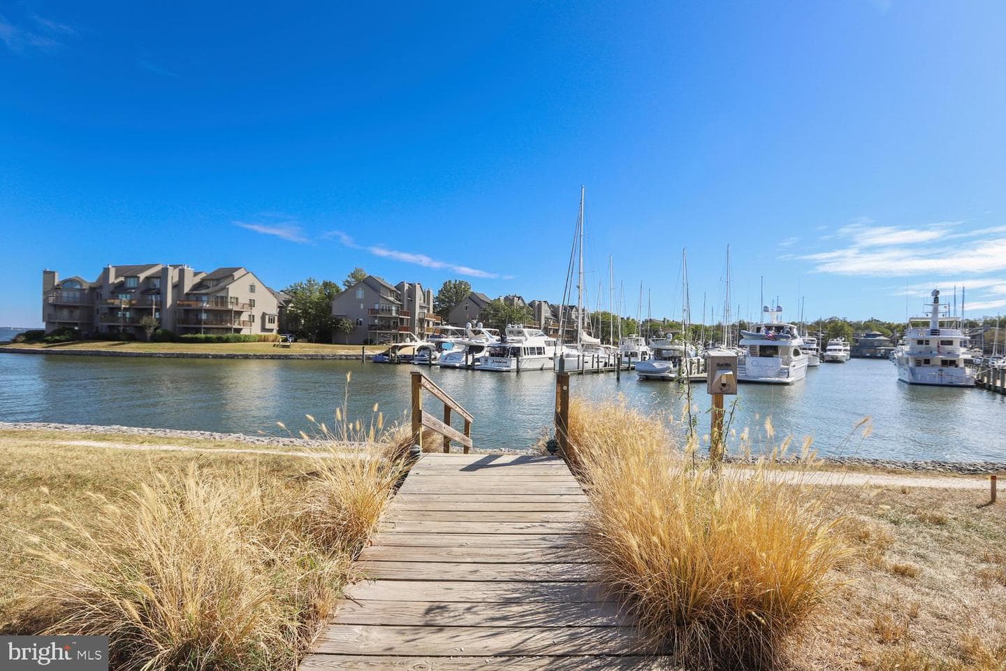 2110 Chesapeake Harbour Drive #101 photo 52