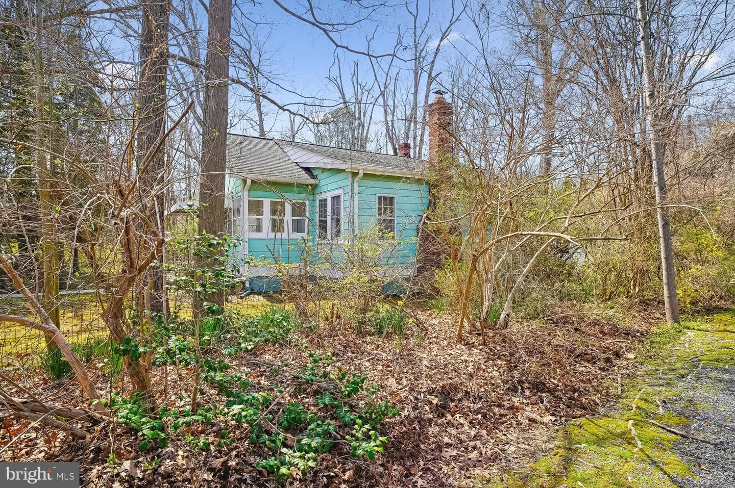 901 Walnut Avenue photo 39