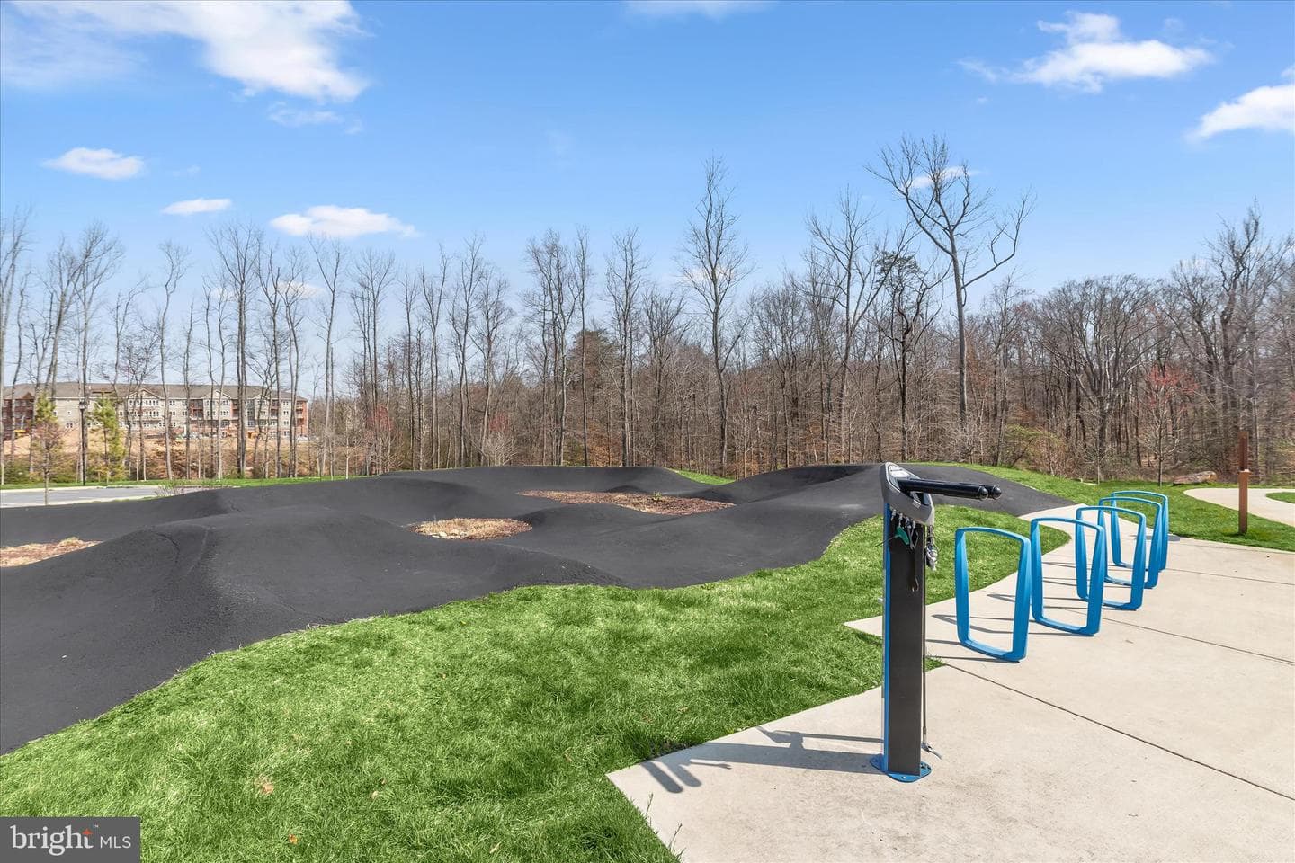 234 Freshet Ln photo 74