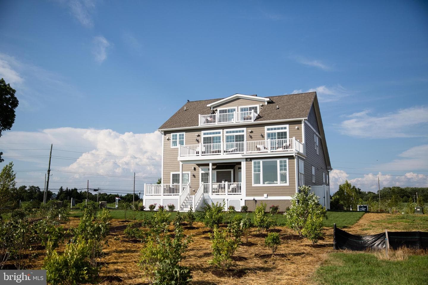 6370 Genoa Road photo 10