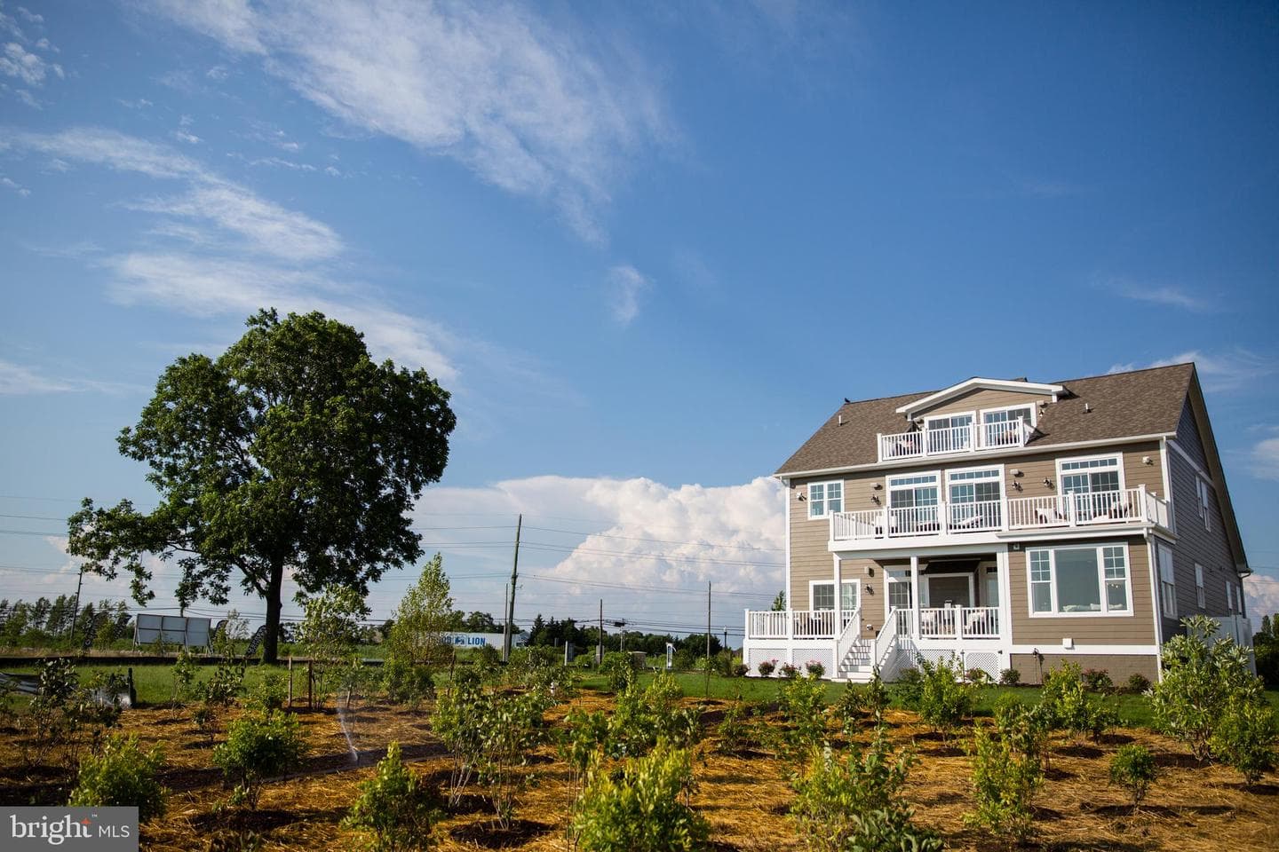 6370 Genoa Road photo 11