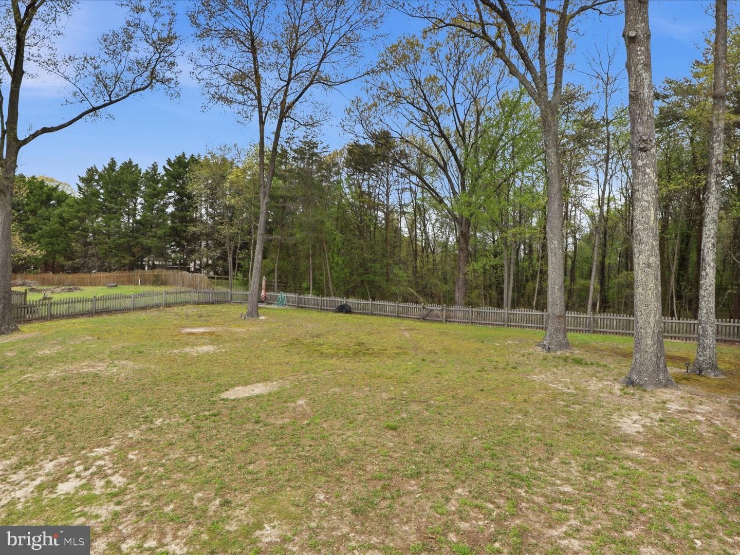 1418 Cowsill Drive photo 35