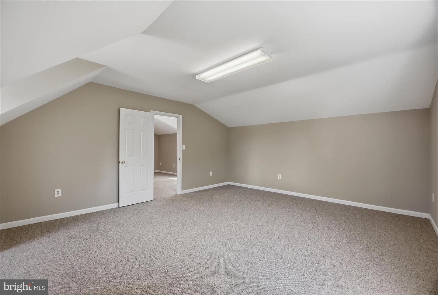 317 White Plains Court photo 46