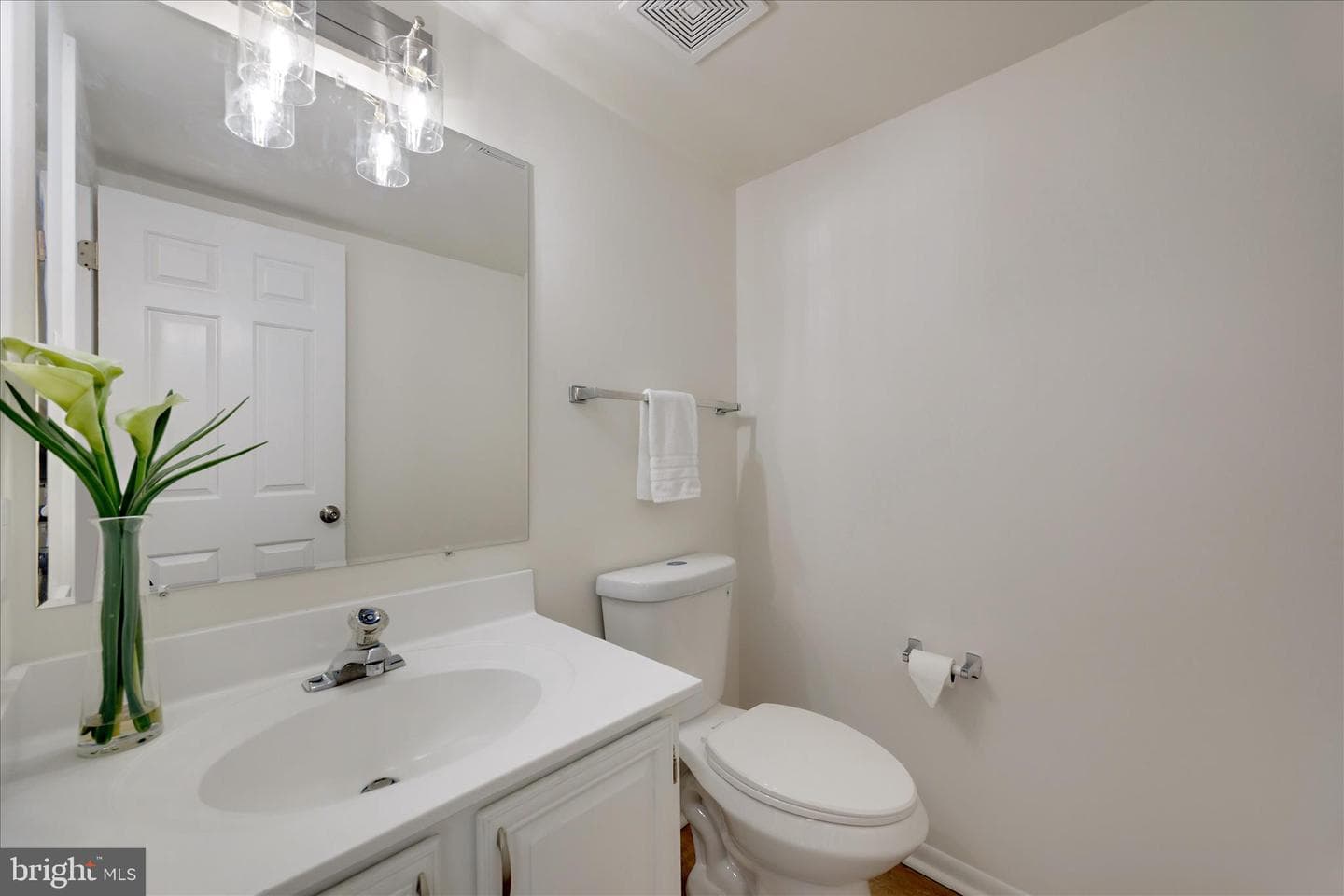 284 Tolstoy Lane photo 18