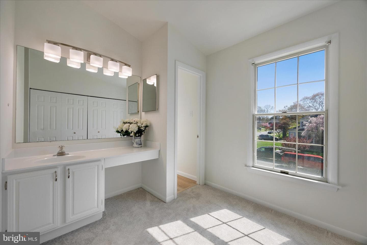 284 Tolstoy Lane photo 26
