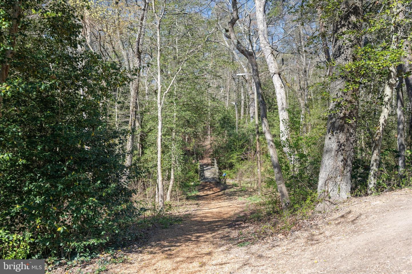 284 Tolstoy Lane photo 54