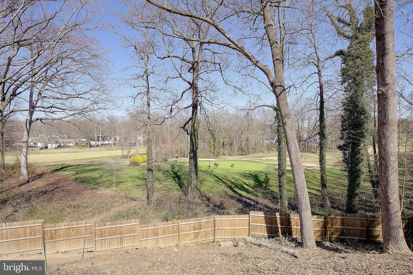 1702 Saxony Place photo 48