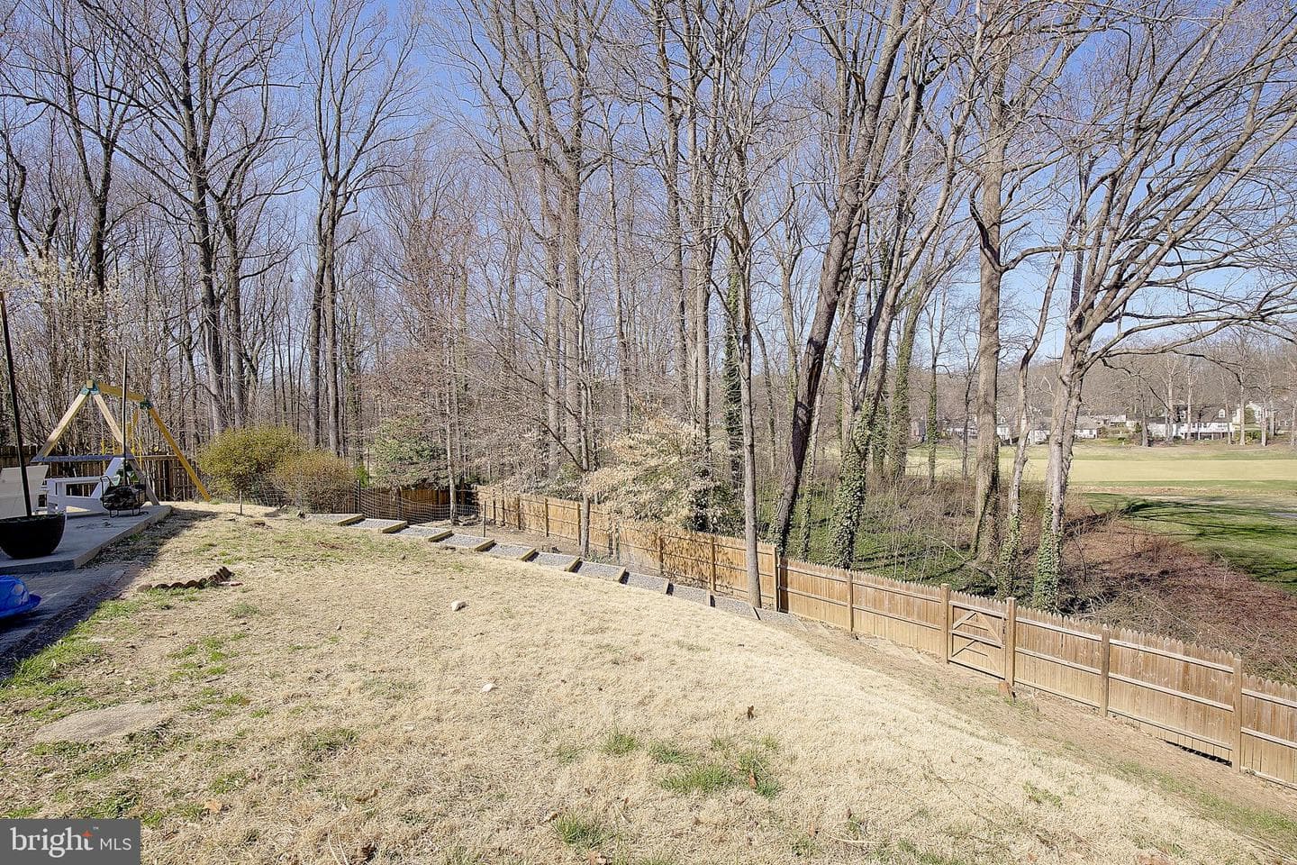1702 Saxony Place photo 49