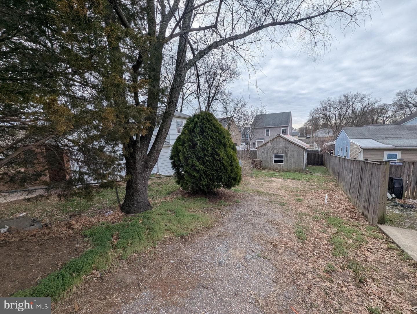 809 203rd Street photo 13