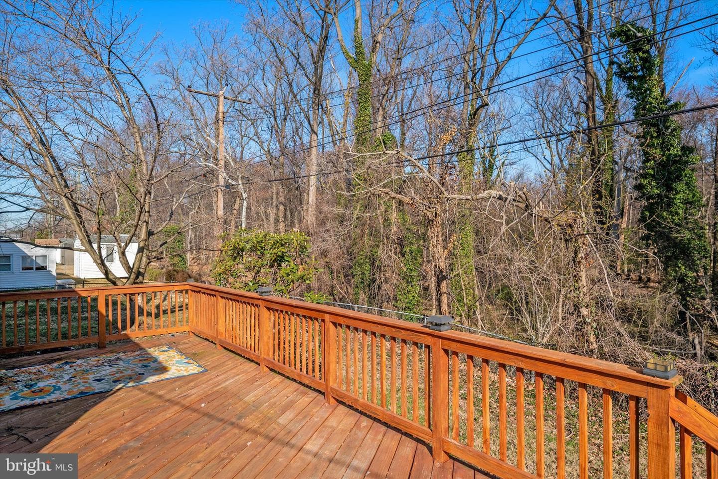409 Laclair Avenue photo 34