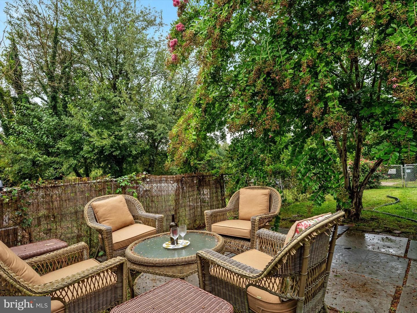 198 Clay Street photo 17