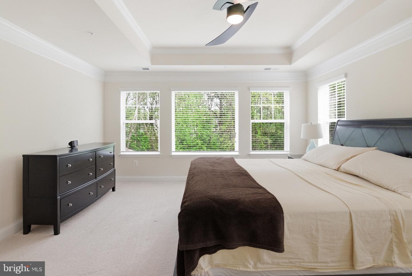 6931 Galesbury Court photo 42