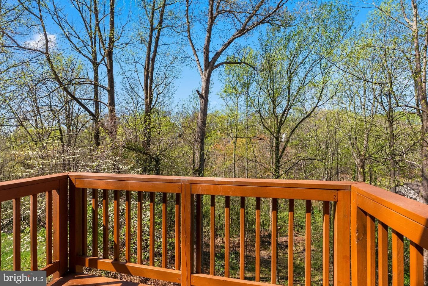 485 Severnside Drive photo 40