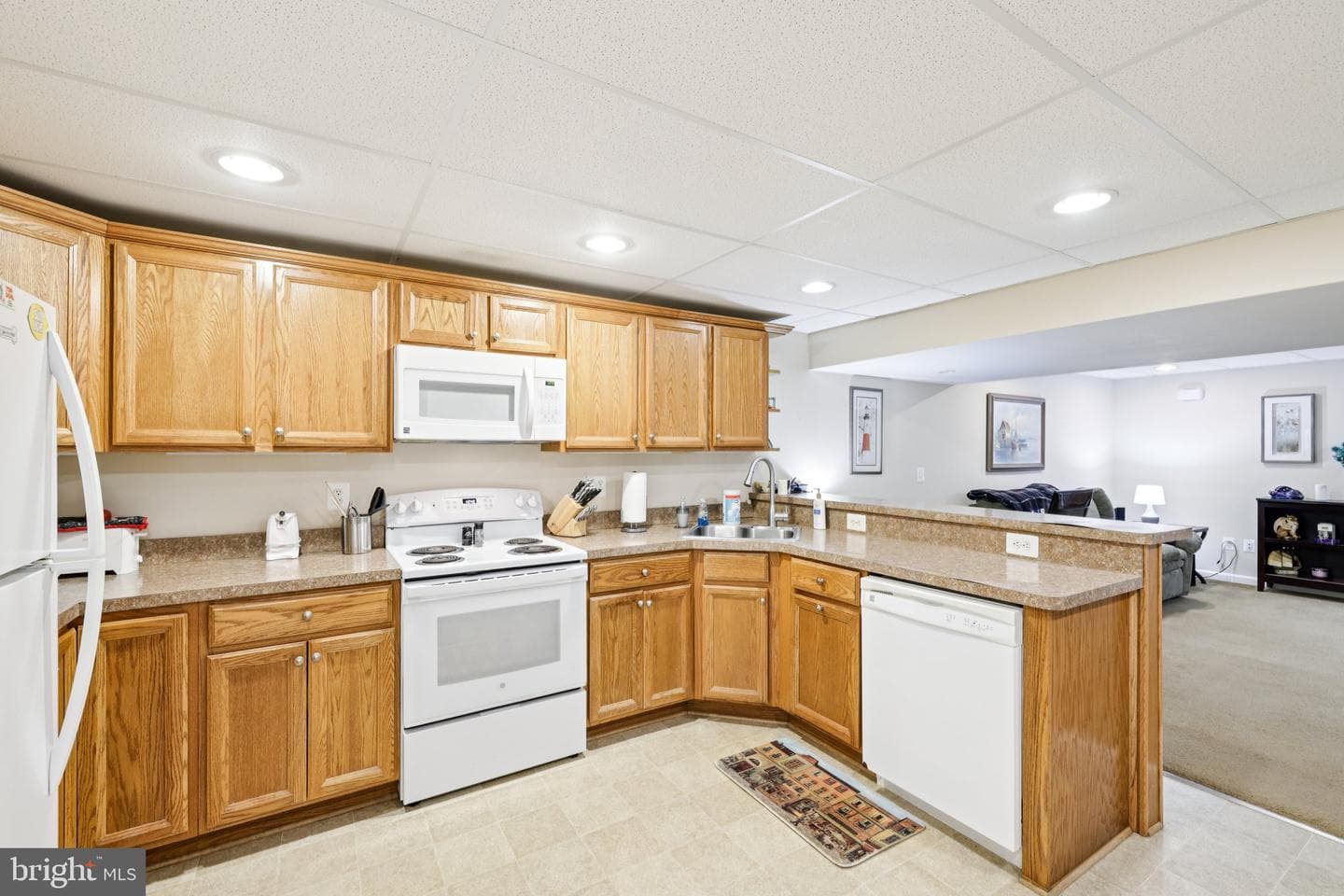 54 Dayton Drive photo 72