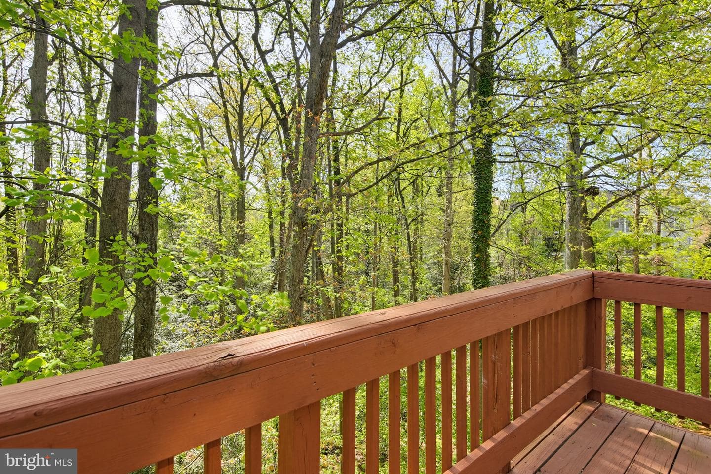 86 Harbour Heights Drive photo 16