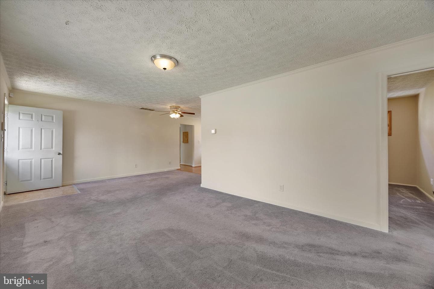 1015 Phillip Drive photo 4