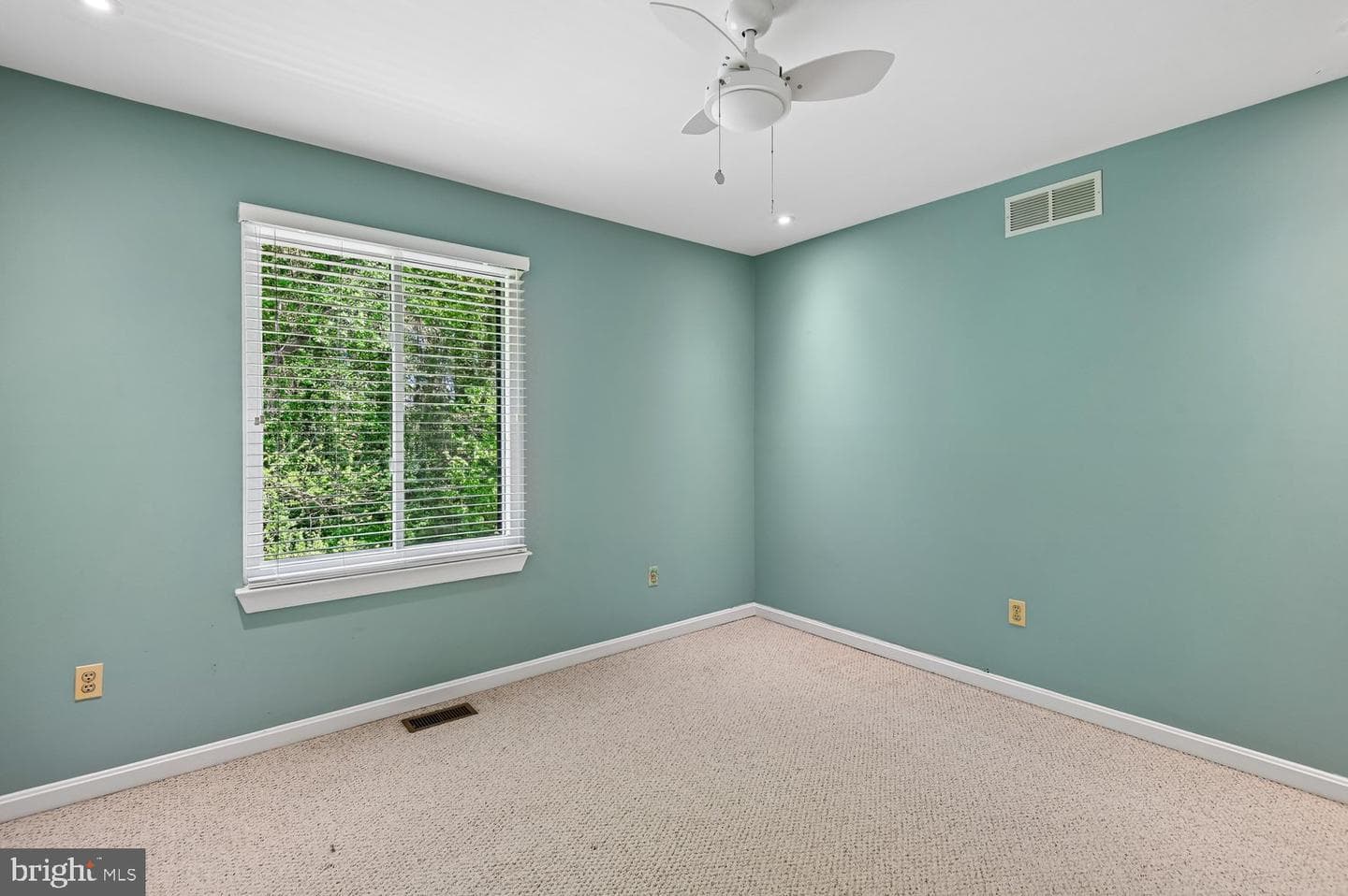434 Peach Court photo 33
