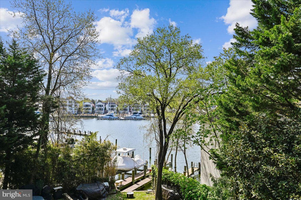 75 Shipwright Street photo 34