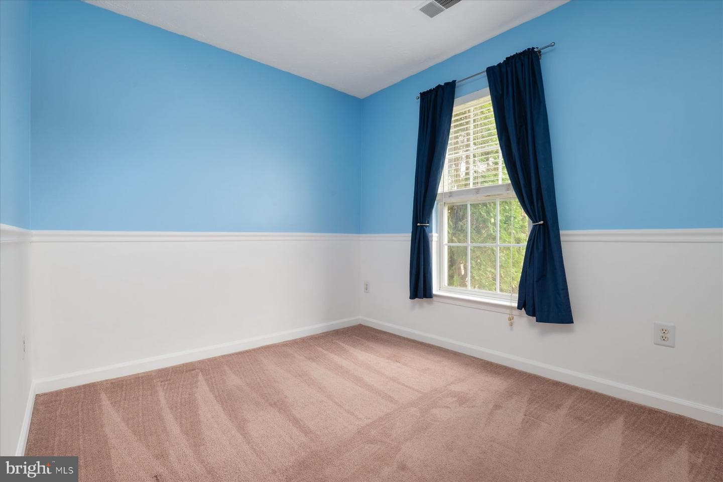923 Deerberry Court photo 29