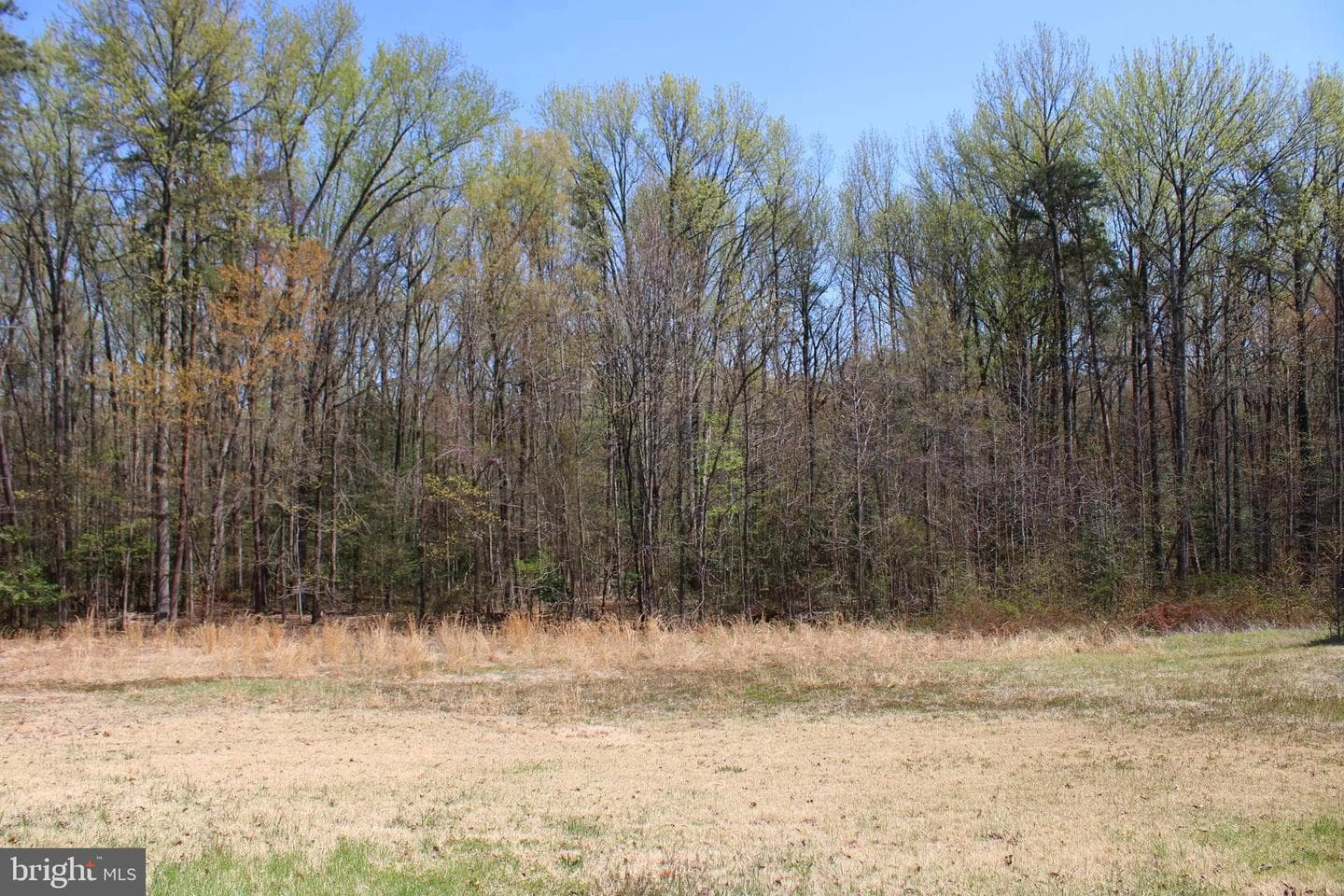 4346 Mountain Road photo 47