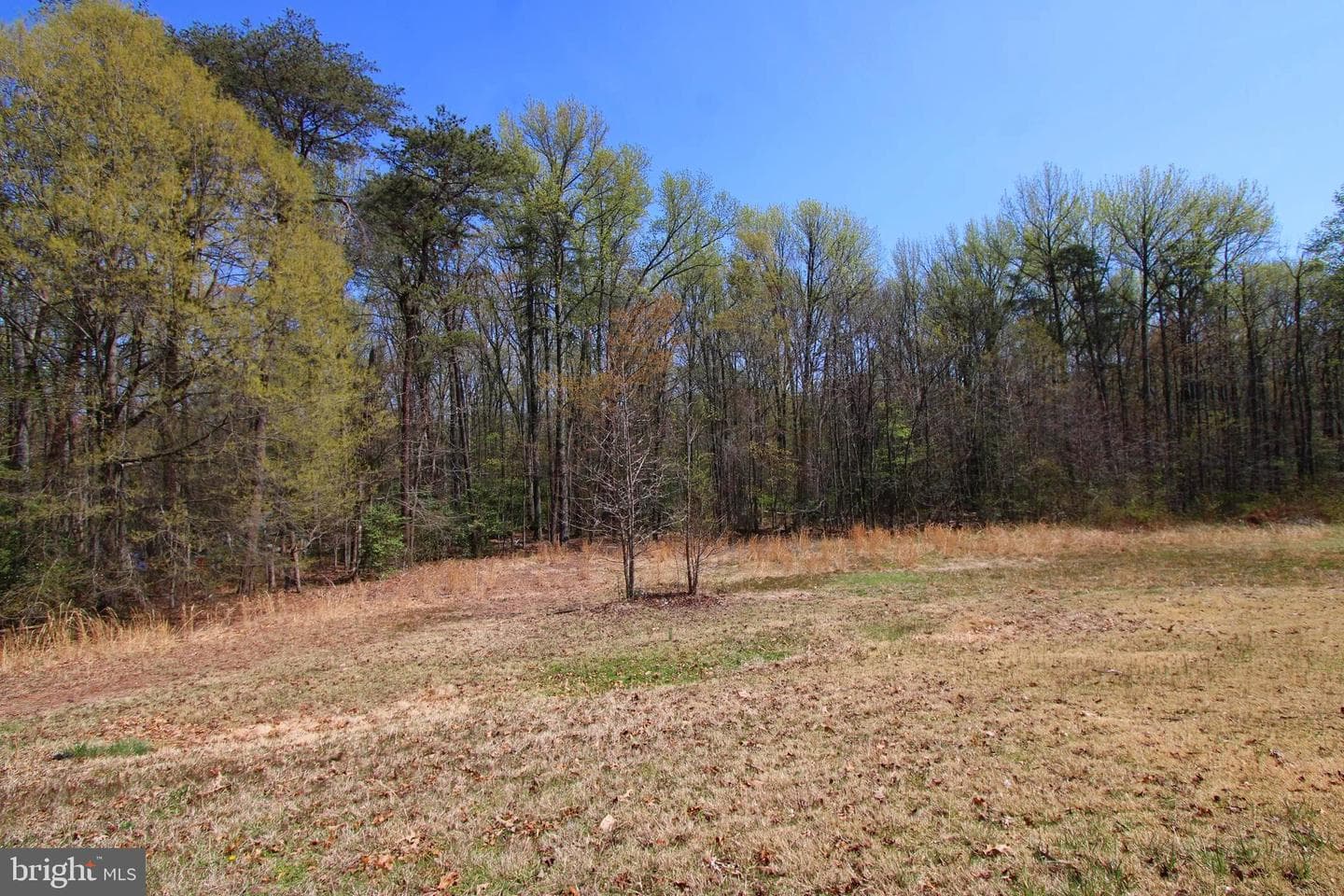 4346 Mountain Road photo 50