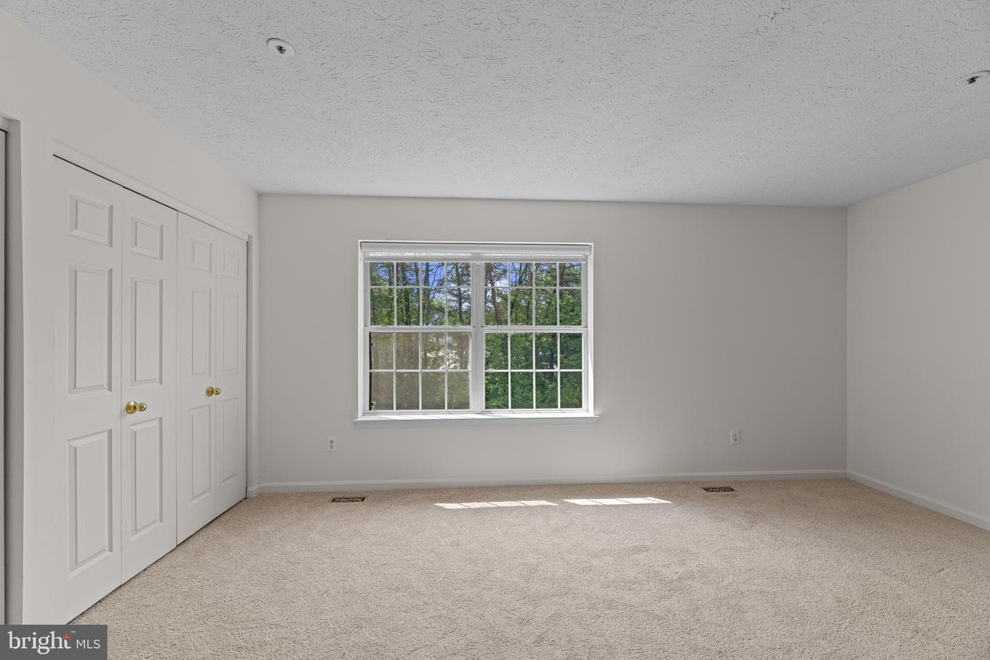 348 Lindera Court photo 11