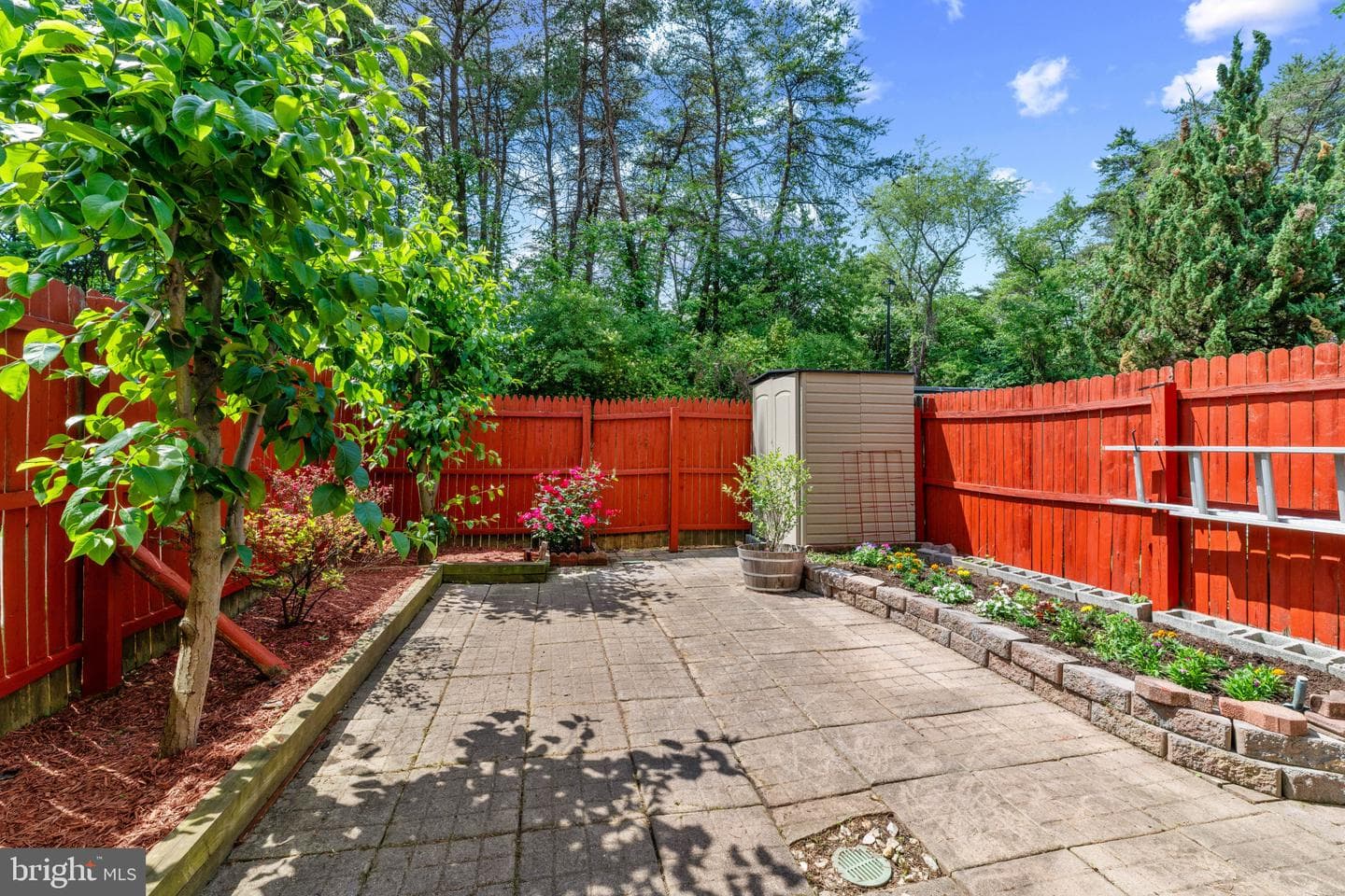 348 Lindera Court photo 22