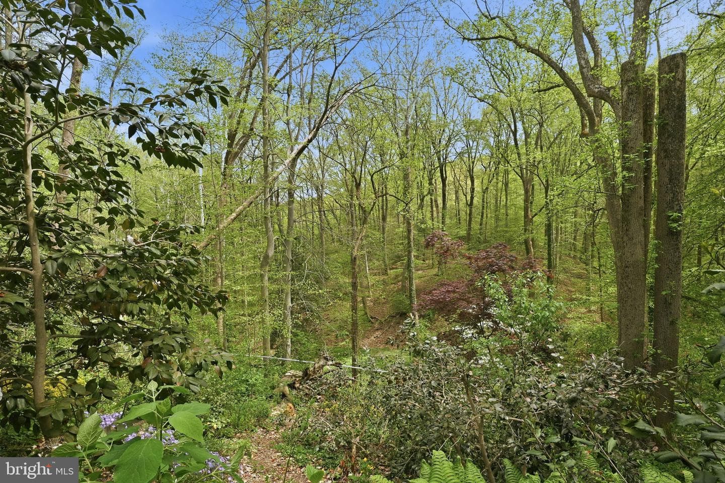 515 Powell Drive photo 30