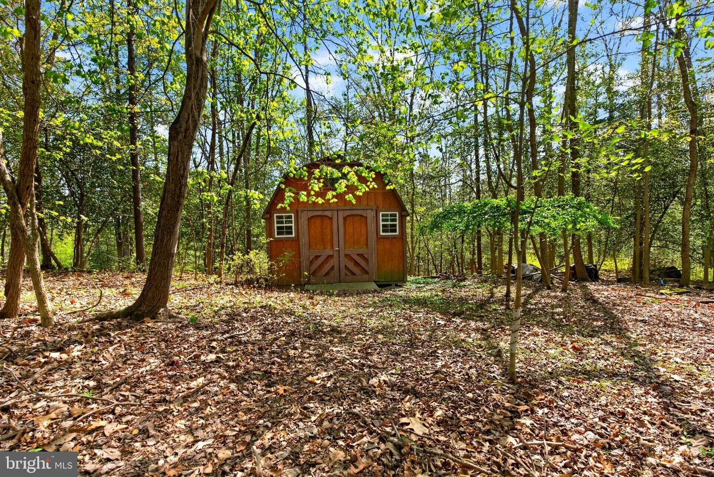 241 Sundew Lane photo 28