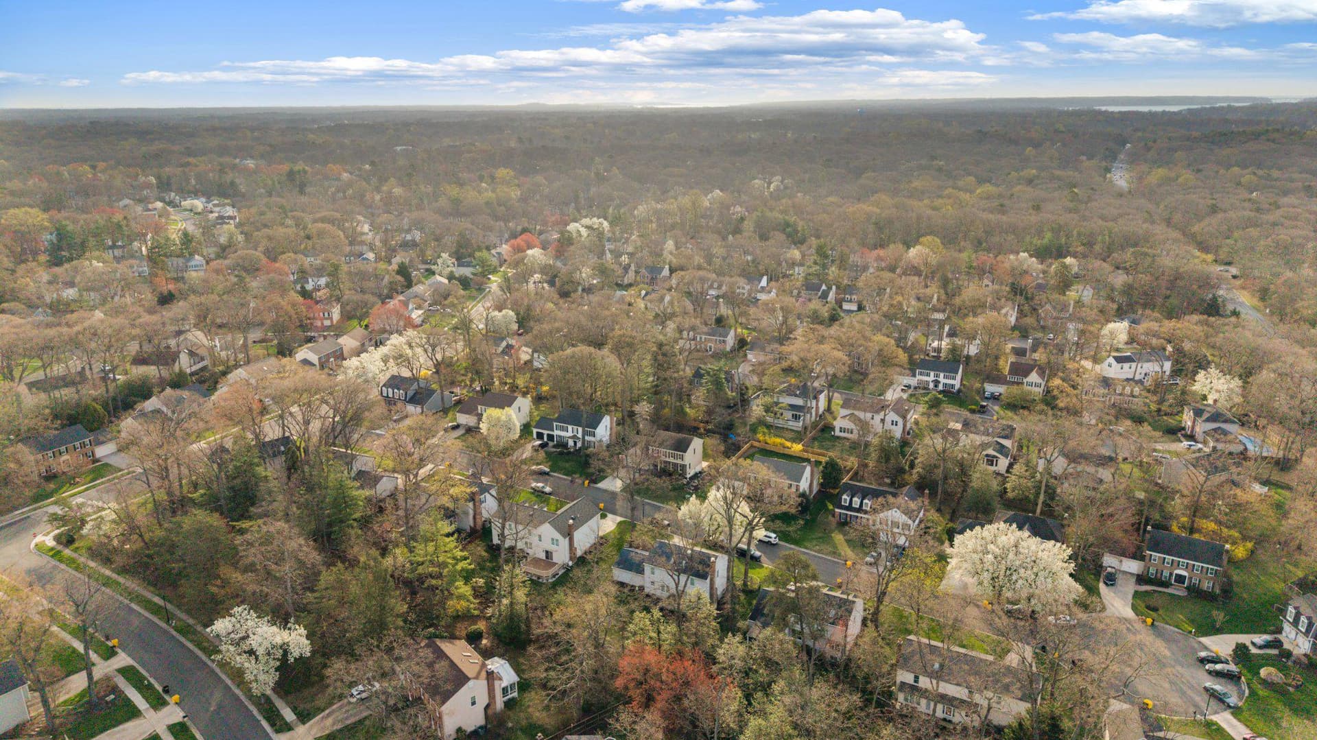 325 Cool Ridge Court photo 64