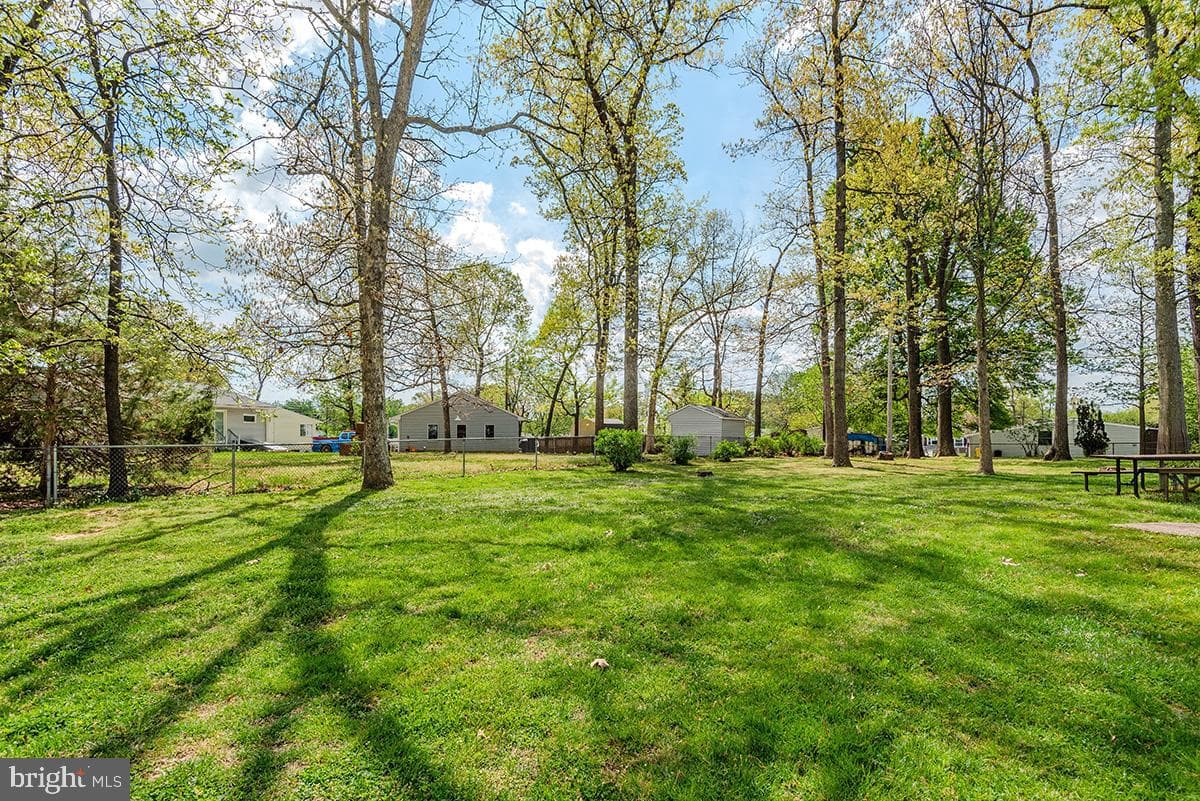 427 Carol Court photo 22