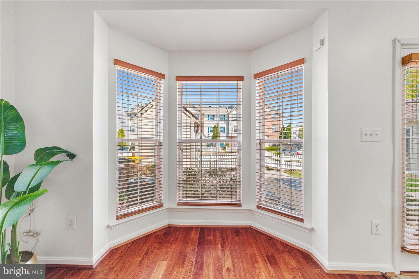 1929 Gardenia Court photo 5