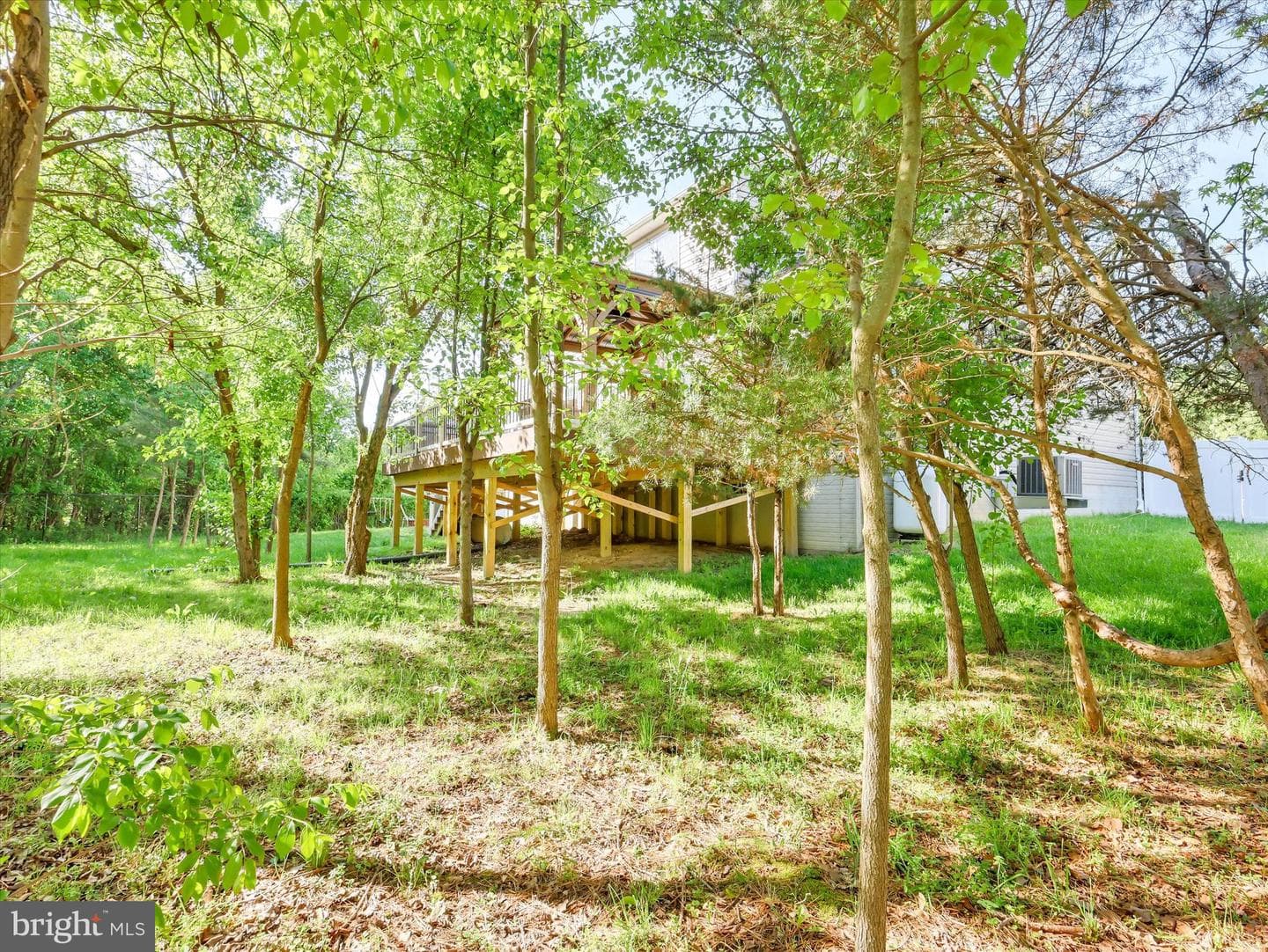 1215 Scattered Pines Court photo 26