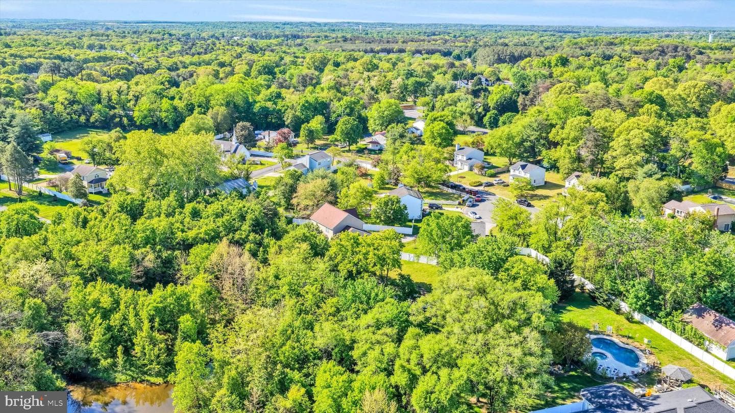 1215 Scattered Pines Court photo 63