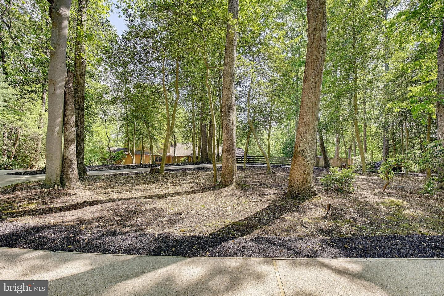 613 Woodsmans Way photo 100