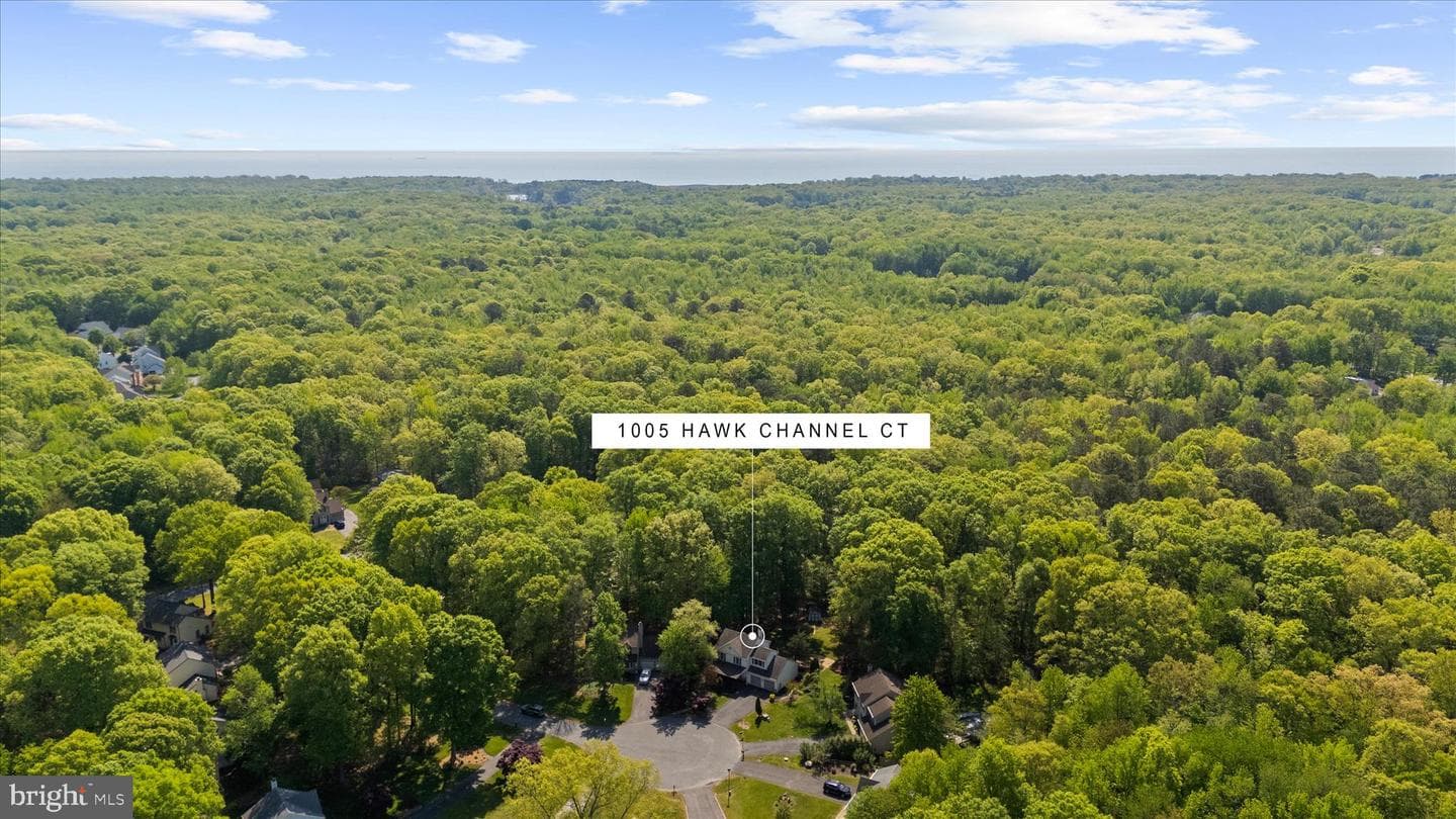 1005 Hawk Channel Court photo 68