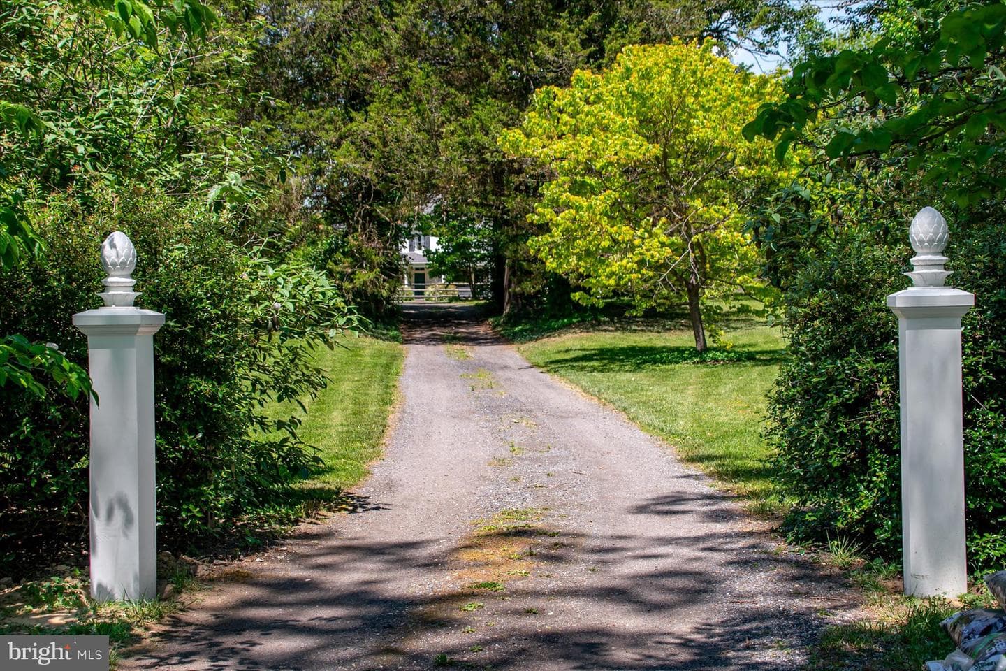 5503 Brooks Woods Rd photo 60
