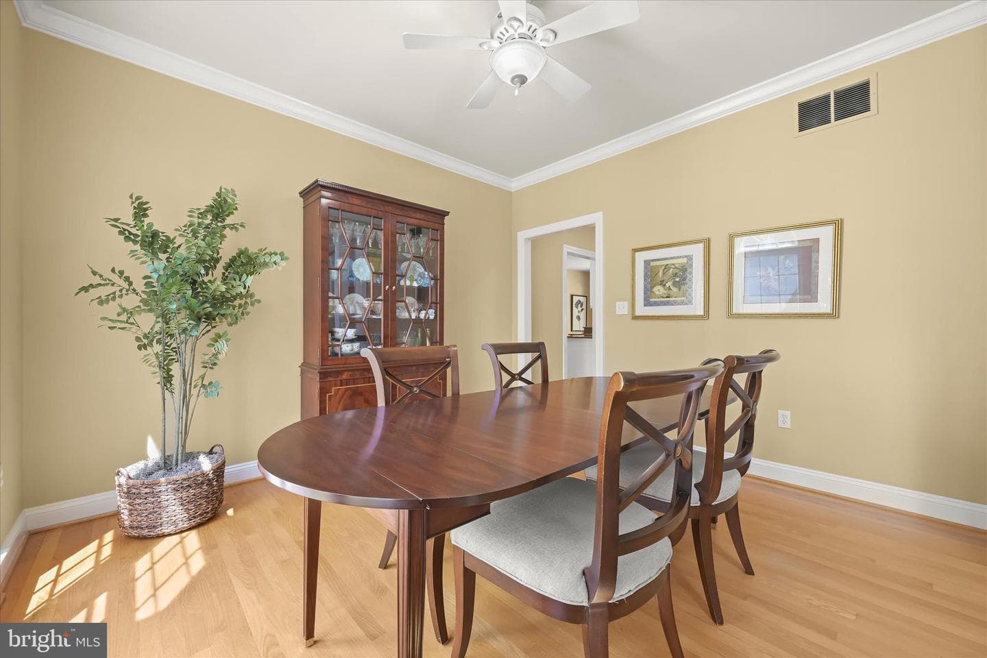 108 Solomons Ridge Court photo 7