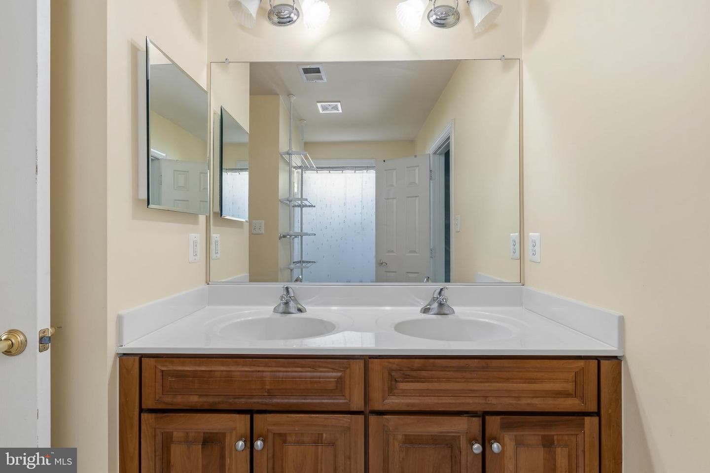 2906 Boyds Cove Drive photo 38