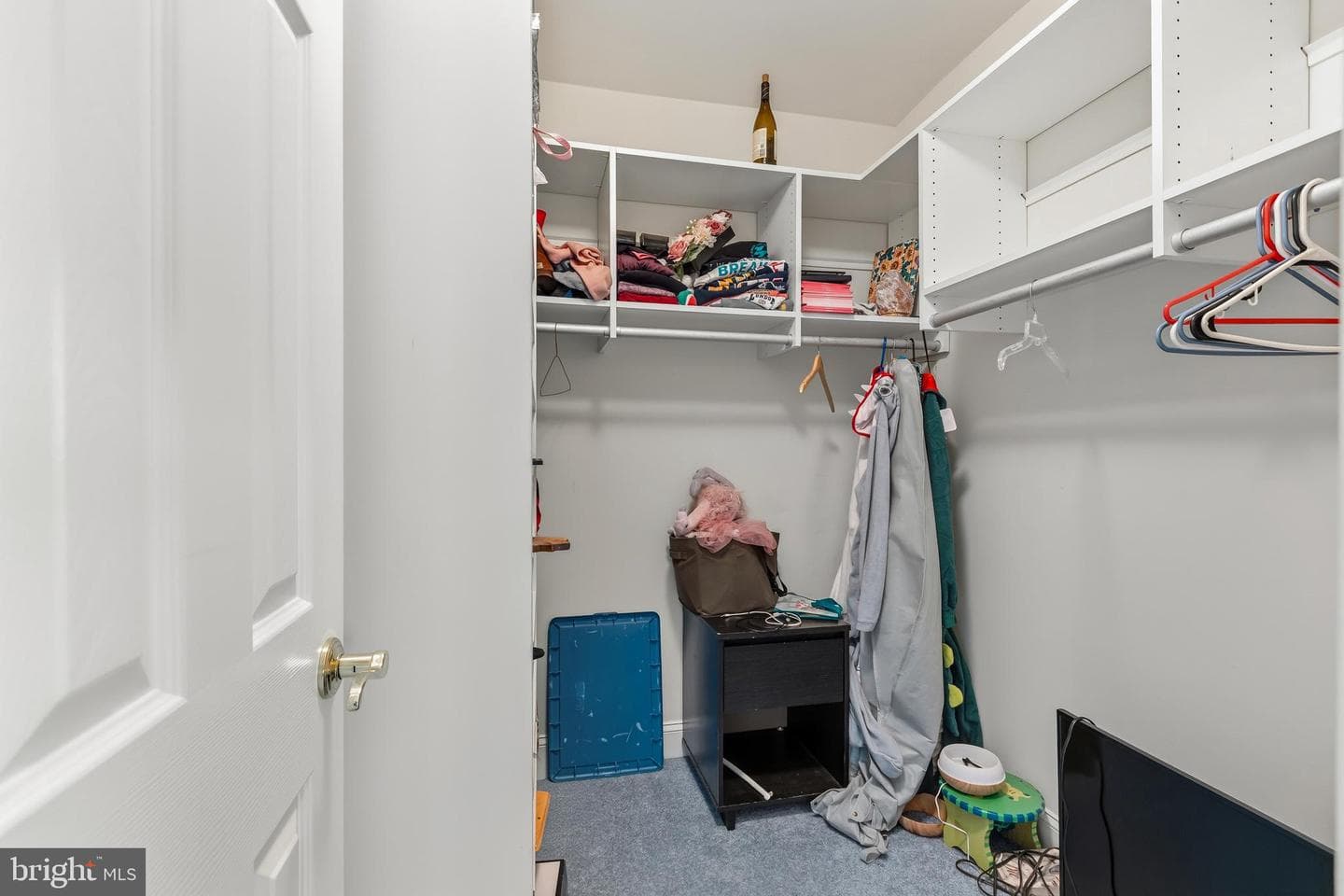 2906 Boyds Cove Drive photo 42