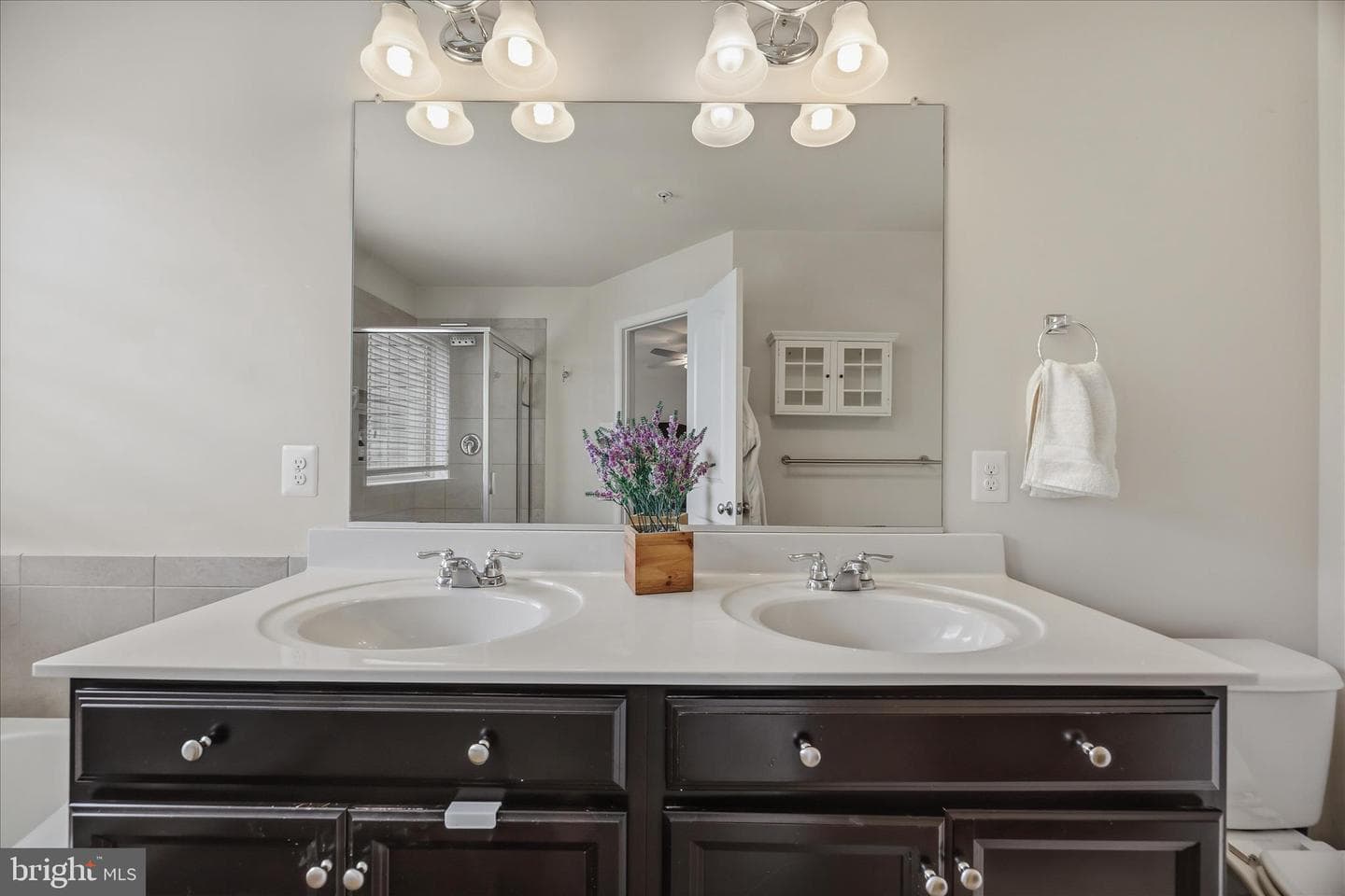 1163 Carinoso Circle photo 29