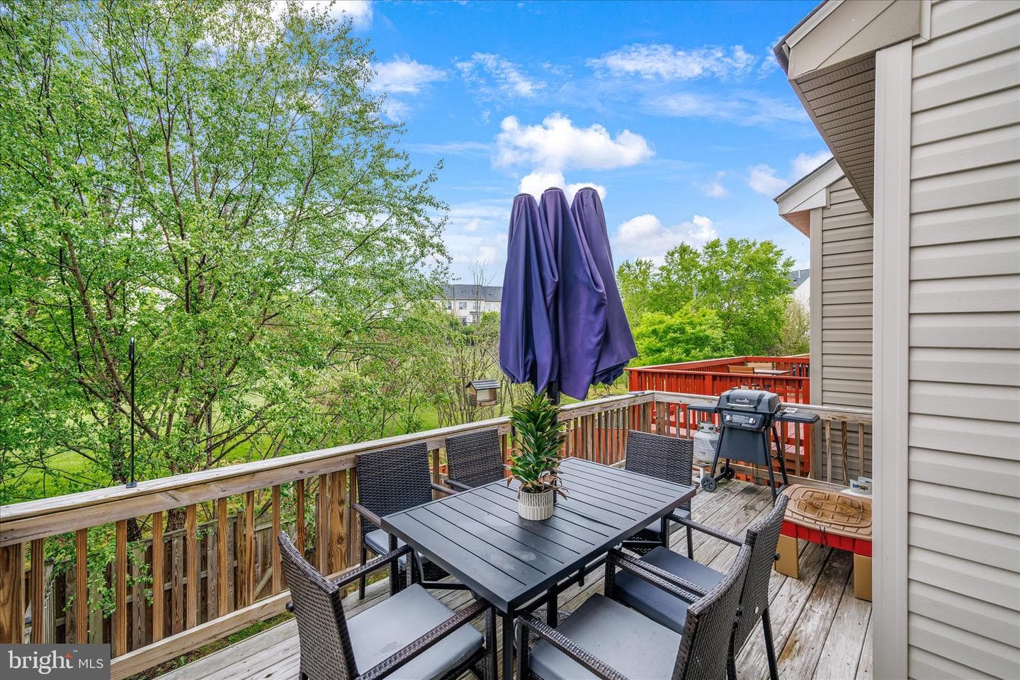 1163 Carinoso Circle photo 37