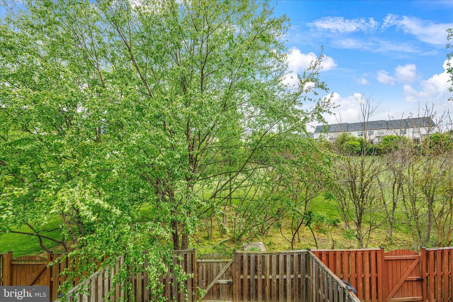 1163 Carinoso Circle photo 40